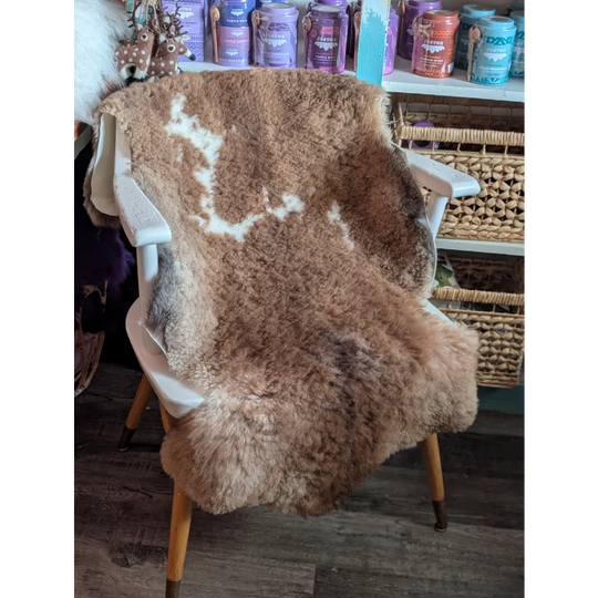 A soft brown and white tibet highland spotted grade a- sheepskin rug draped over a white wooden chair