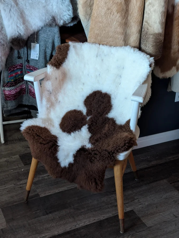 White and brown tibet highland spotted grade a- sheepskin cover draped over a white wooden armchair with fluffy texture
