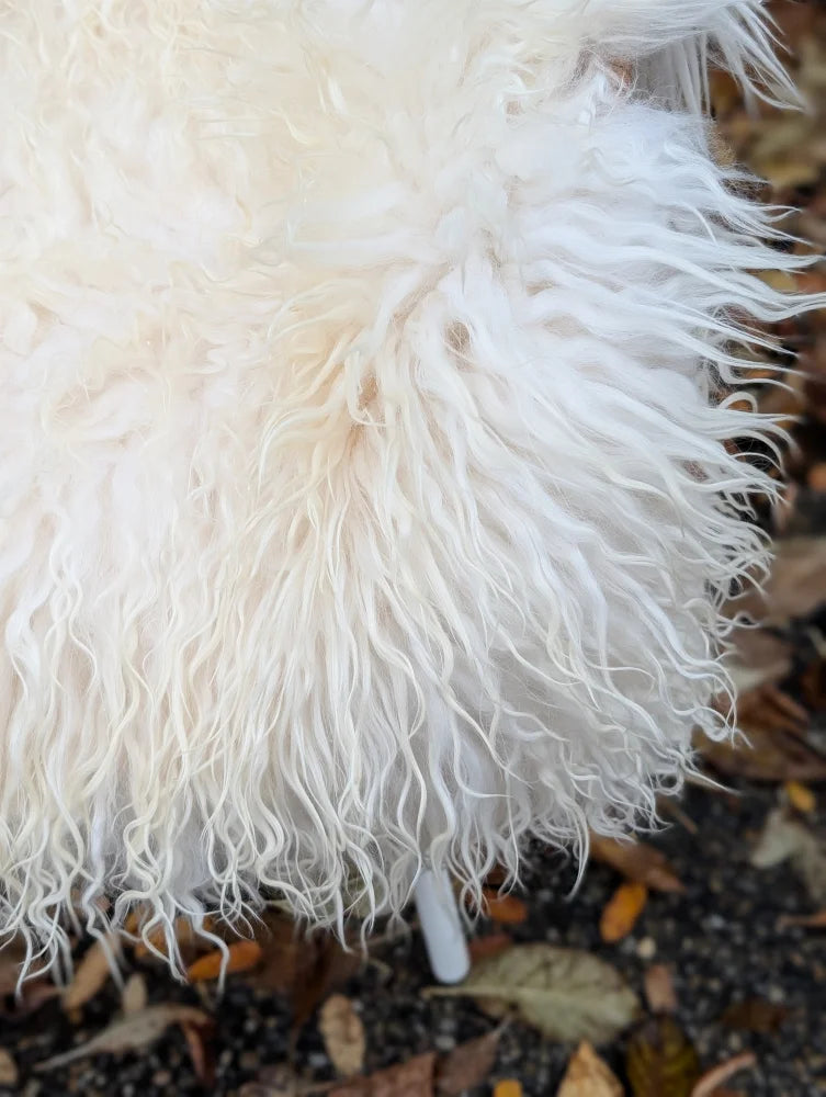 A large natural white icelandic sheepskin rug with long wool and soft curly fibers for cozy decor