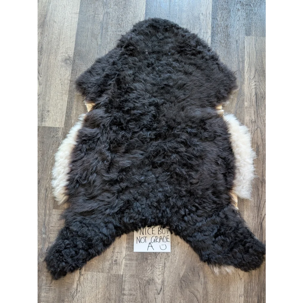 Black and white standard grade short wool white icelandic sheepskin rug with natural fluffy texture