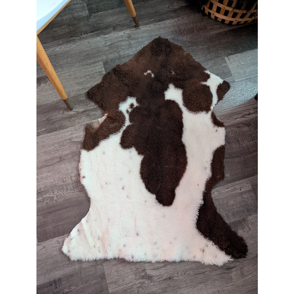 A plush brown and white highland spotted grade a- sheepskin rug with soft fluffy texture perfect for cozy spaces