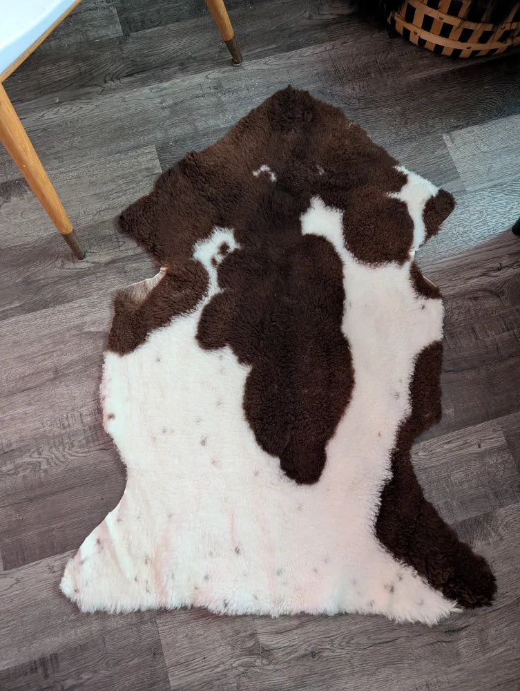 A plush brown and white highland spotted grade a- sheepskin rug with soft fluffy texture perfect for cozy spaces
