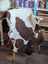 Brown and white highland spotted grade a- sheepskin rug draped over a wooden chair for cozy decor