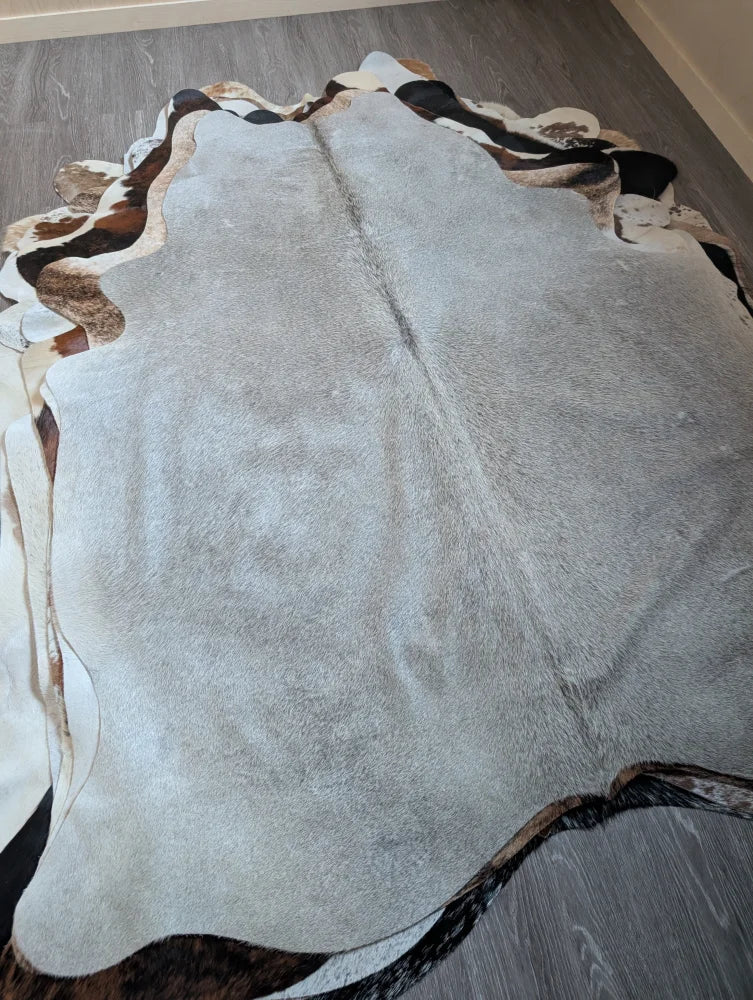 Large cowhide rug with soft gray center and bold black white brown edges perfect for cozy living spaces