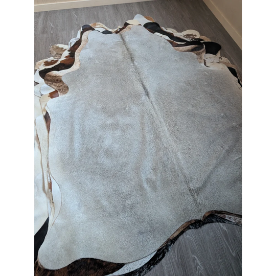 Large cowhide rug with soft gray center and bold black white brown edges perfect for cozy living spaces