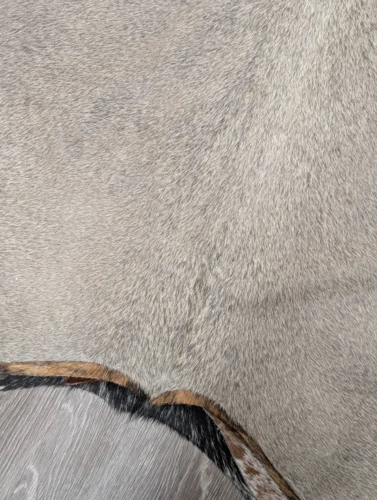 Gray large cowhide rug with natural texture and contrasting dark brown black fringe 77.5 by 66 lovely cowhide