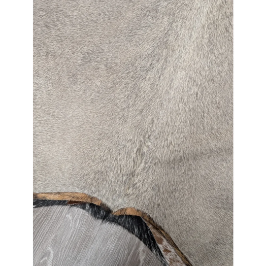 Gray large cowhide rug with natural texture and contrasting dark brown black fringe 77.5 by 66 lovely cowhide