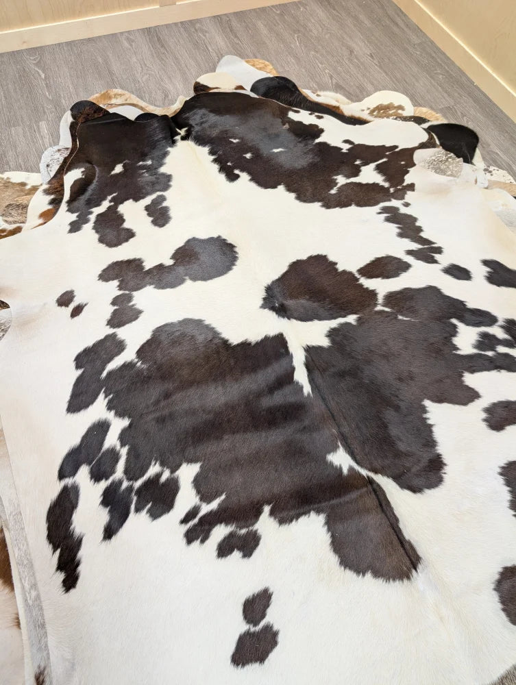 A lovely large cowhide rug in black and white spotted natural cowhide measuring 77 by 64 inches