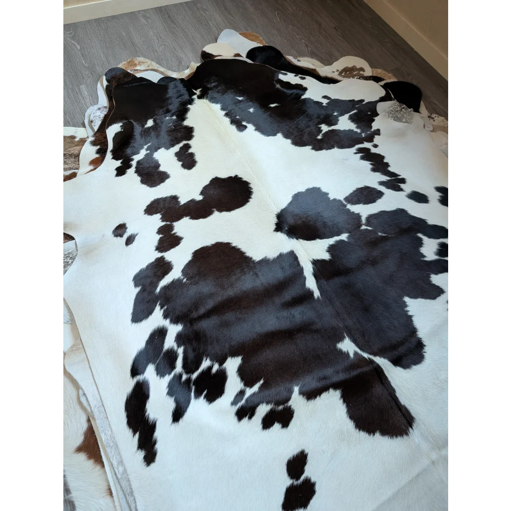 Large lovely cowhide rug in black and white with natural irregular edges perfect as a stylish floor accent