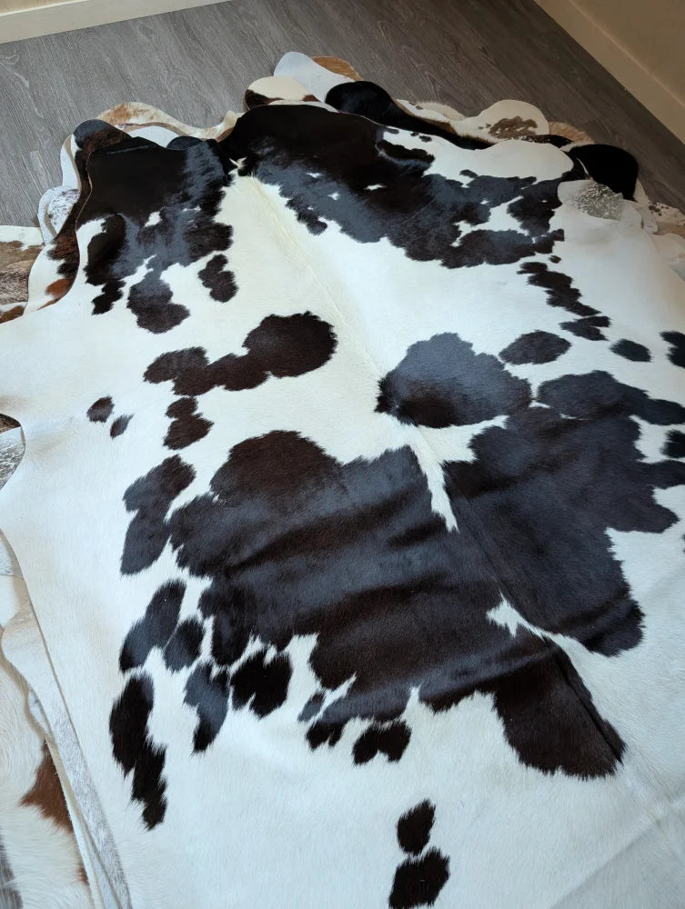 Large lovely cowhide rug in black and white with natural irregular edges perfect as a stylish floor accent