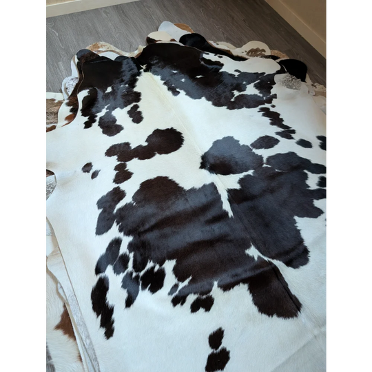 Large lovely cowhide rug in black and white with natural irregular edges perfect as a stylish floor accent