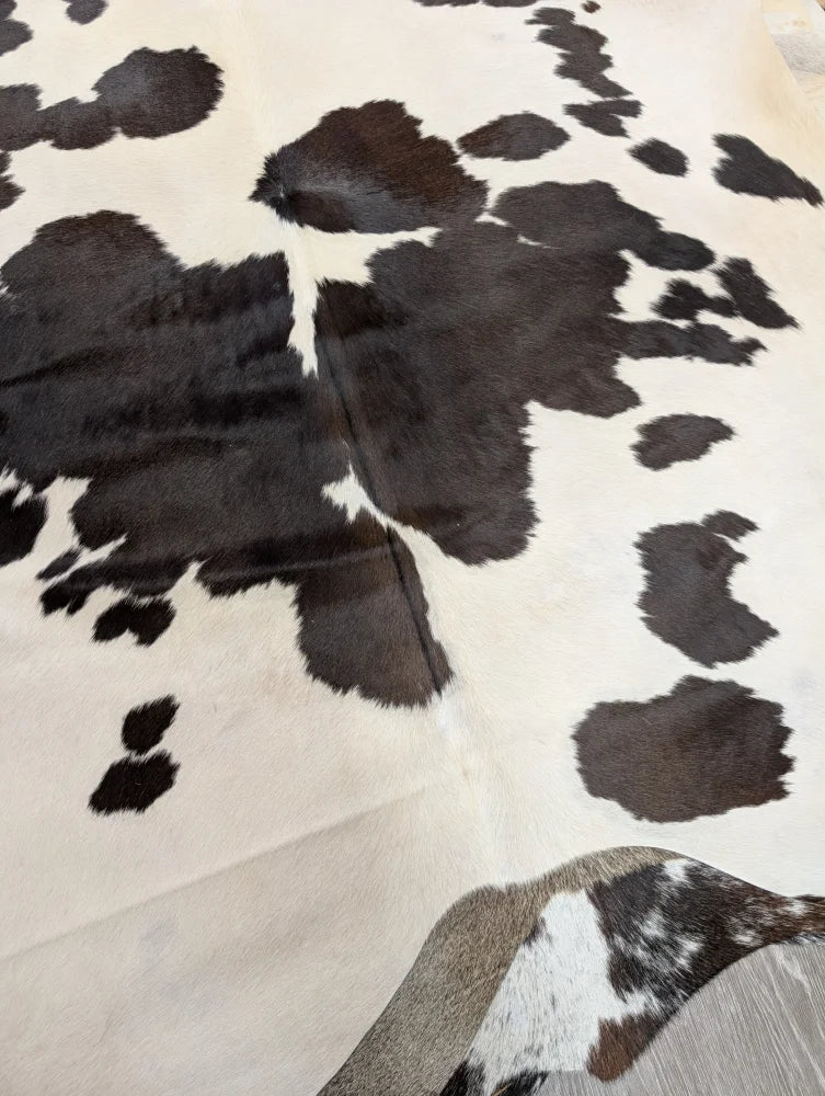Large lovely cowhide rug with soft fur texture in black and white spotted pattern measuring 77 x 64 inches