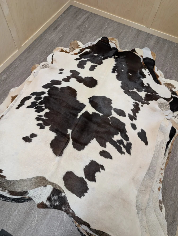 Large lovely cowhide rug with a black and white spotted pattern and irregular edges measuring 77 x 64 inches