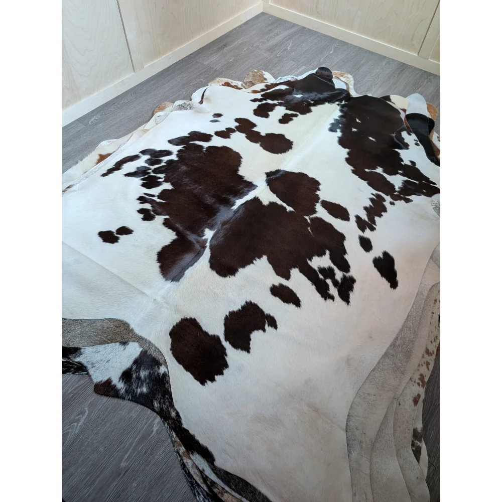 Large cowhide rug with soft fur texture featuring black and white spotted pattern and irregular edges, lovely cowhide