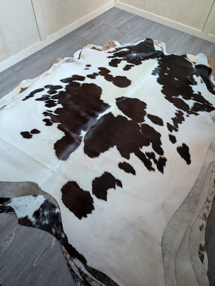 Large cowhide rug with soft fur texture featuring black and white spotted pattern and irregular edges, lovely cowhide
