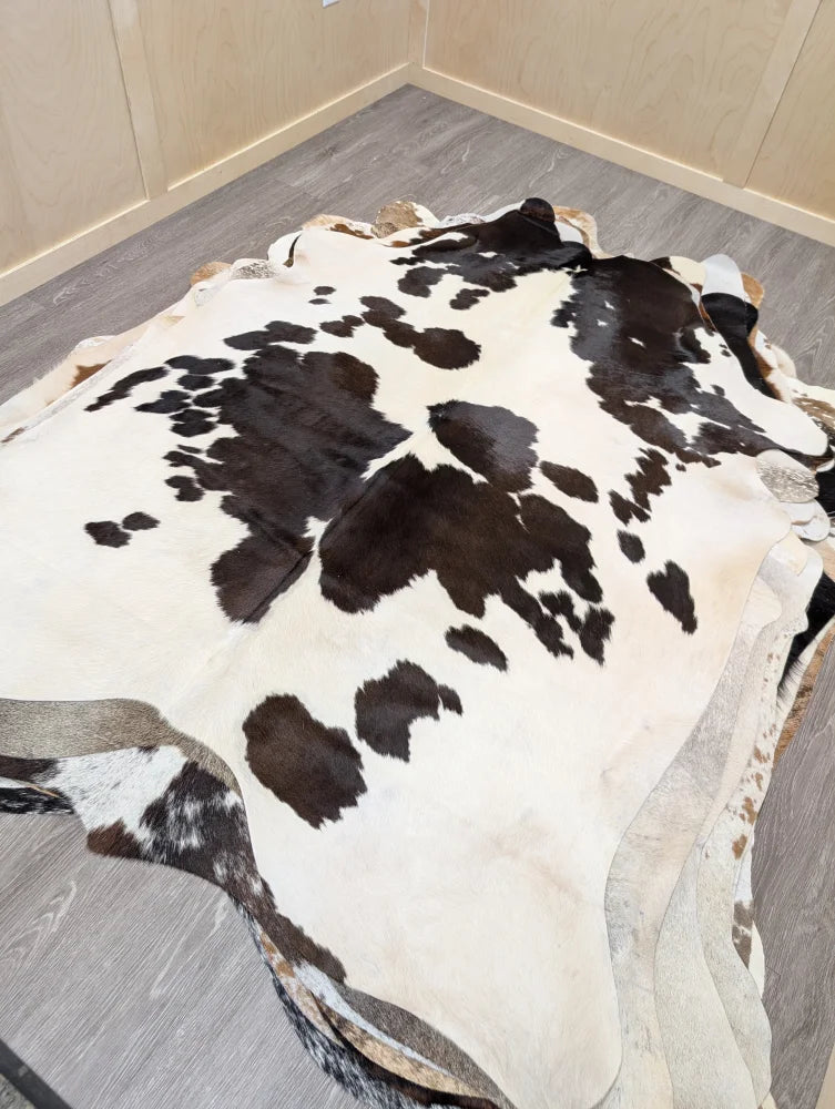 Large lovely cowhide rug with natural irregular shape and striking black and white spotted pattern 77 x 64 inches