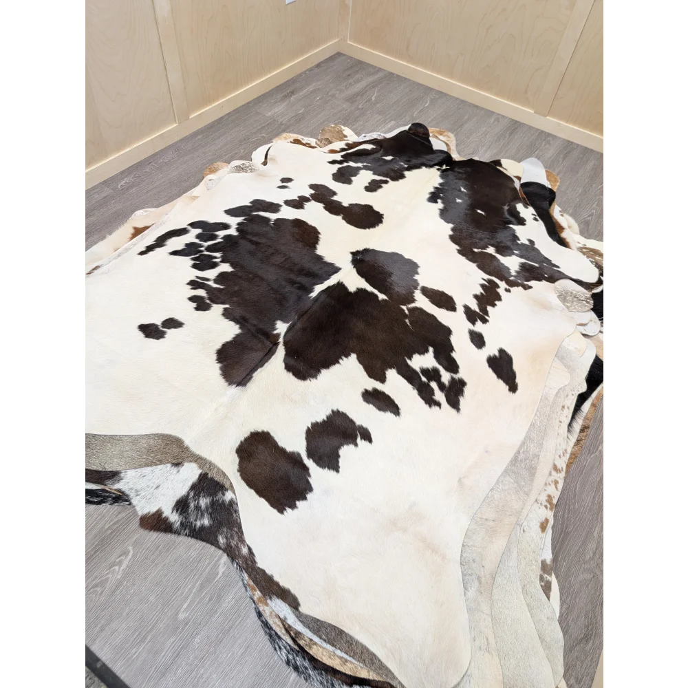 Large lovely cowhide rug with natural irregular shape and striking black and white spotted pattern 77 x 64 inches