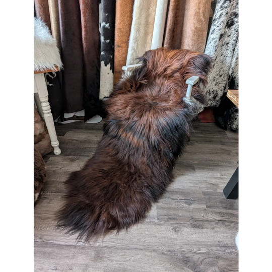 #47 Double Icelandic Sheepskin 80" x 32" Dark Rusty