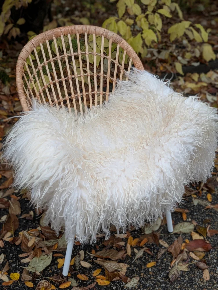 A plush natural white icelandic sheepskin throw with long wool draped over a wicker chair for cozy decor