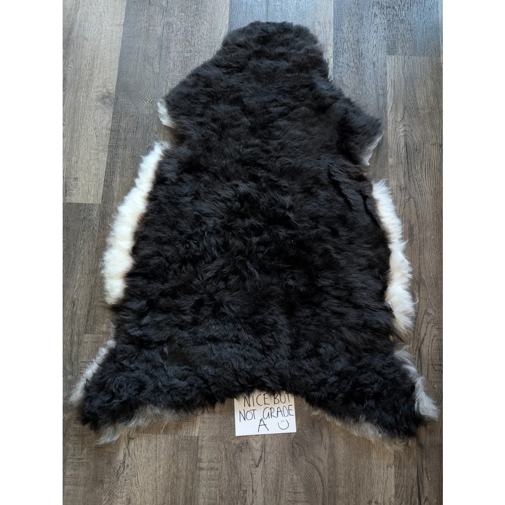 Black standard grade short wool sheepskin rug with a white icelandic sheepskin fur border