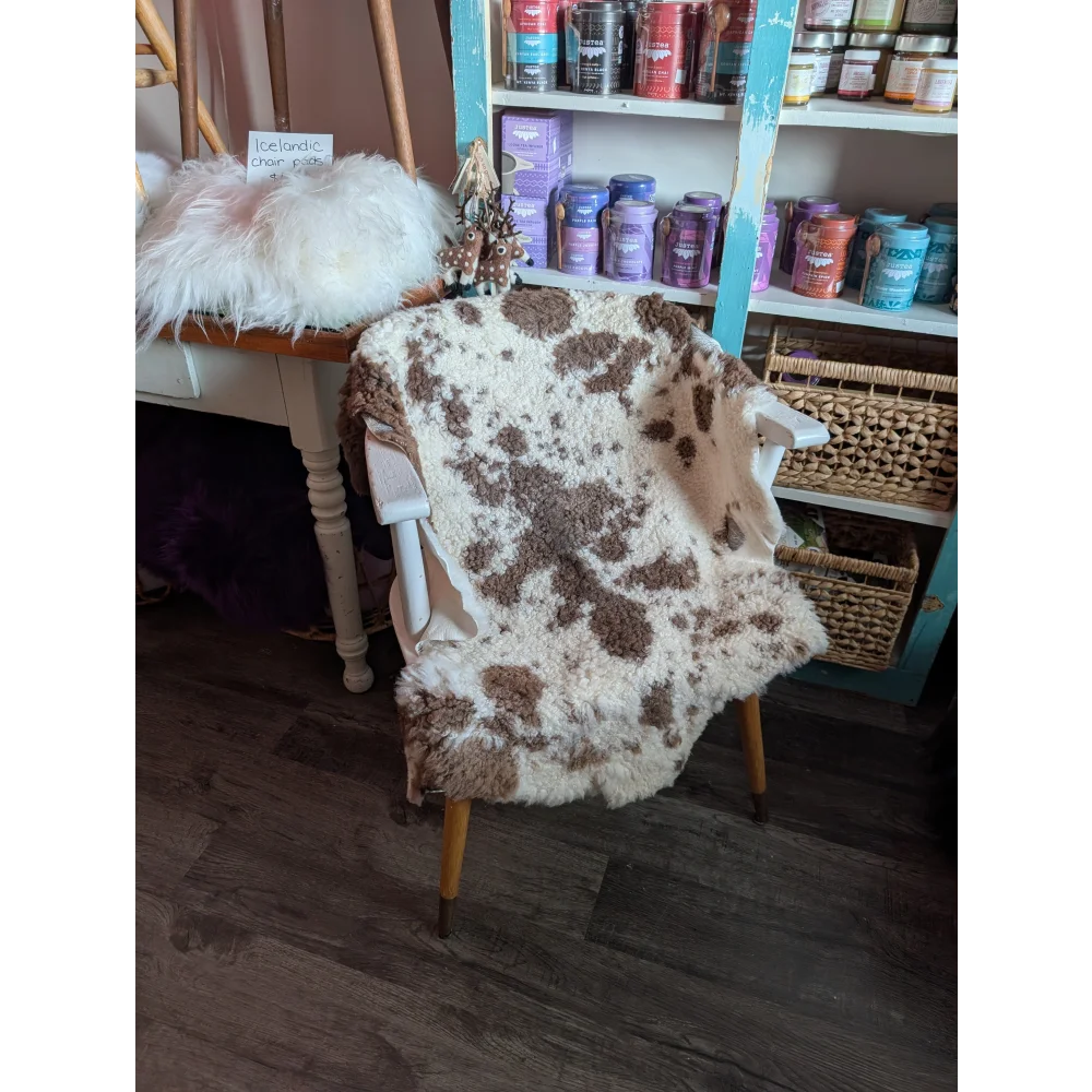 White and brown highland spotted grade a- sheepskin fur blanket draped over white chair with wooden legs