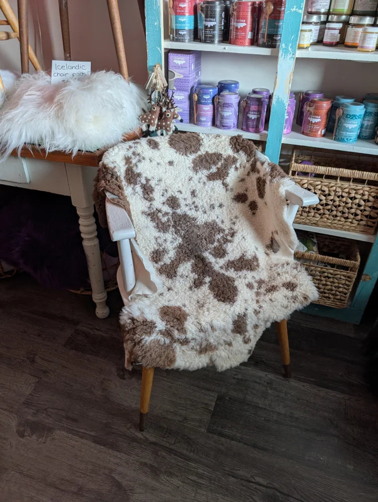 White and brown highland spotted grade a- sheepskin fur blanket draped over white chair with wooden legs