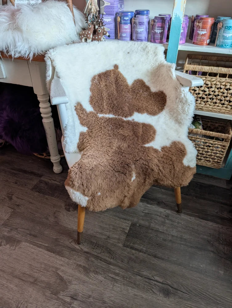 A cozy brown and white highland spotted grade a- sheepskin rug draped over a vintage chair with wooden legs