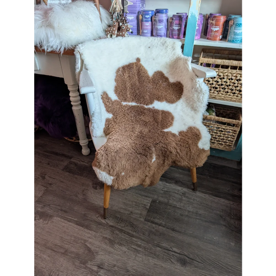 A cozy brown and white highland spotted grade a- sheepskin rug draped over a vintage chair with wooden legs