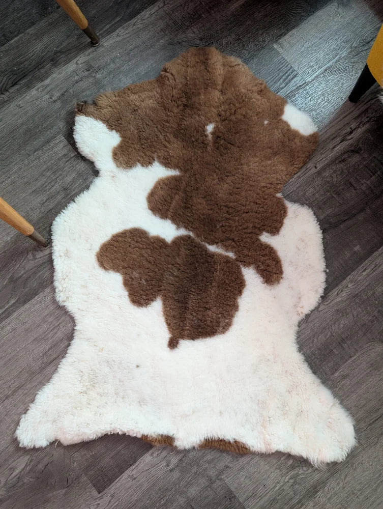 Brown and white plush highland spotted sheepskin rug grade a- with fluffy texture ideal for cozy decor