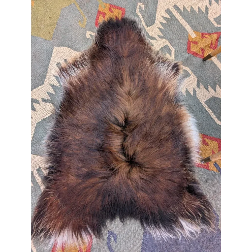 A plush wool icelandic sheepskin rug with gradient dark brown to tan and white tipped long wool icelandic edges