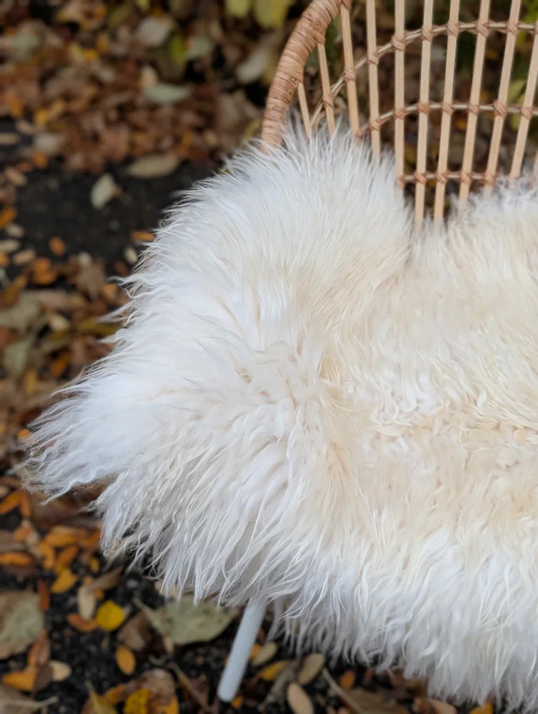 Large long wool natural white icelandic sheepskin draped over a wicker chair for cozy decor and comfort