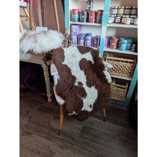 Brown and white highland spotted sheepskin grade a- rug draped over chair showcasing soft natural wool texture