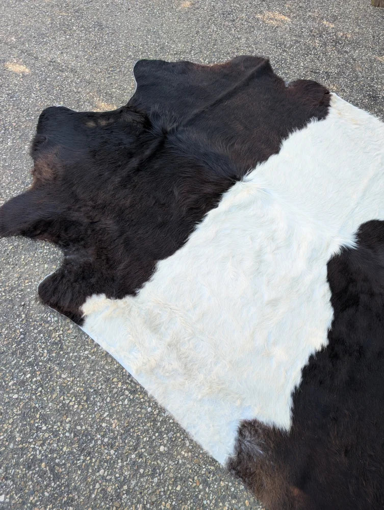 Large black and white belted galloway cowhide rug with natural fur texture and unique characteristics for beautiful rugs