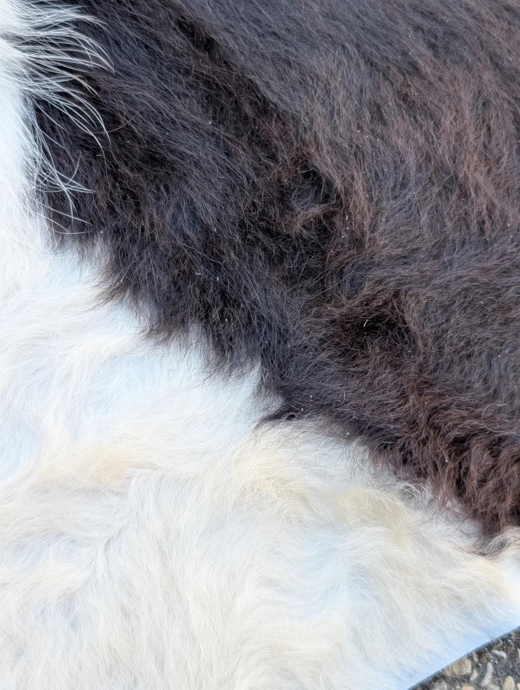 Large cowhide rug with thick plush black and white fur showcasing unique characteristics perfect for beautiful rugs
