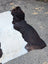 Large 77 x 76 belted galloway cowhide rug with natural black and white fur texture and unique characteristics