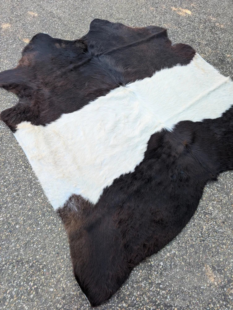 A large black and white belted galloway cowhide rug with soft fluffy texture and unique characteristics perfect for beautiful rugs
