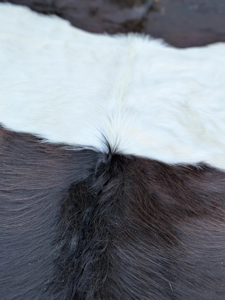 Large belt galloway cowhide rug 77 x 76 with beautiful black and white pattern and natural fluffy texture