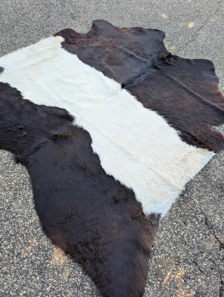 Large cowhide belt galloway rug with unique black and white pattern and soft fluffy fur perfect for beautiful rugs