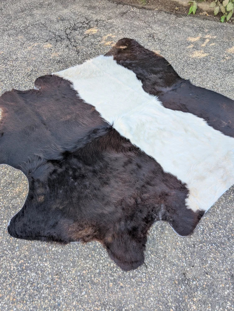 A large black and white belted galloway cowhide rug with soft fluffy texture showcasing unique characteristics