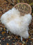 A natural white icelandic sheepskin throw with long wool draped over a woven wicker chair with white legs