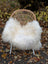 A cozy natural white icelandic sheepskin with long wool draped over a woven rattan chair with metal legs