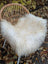 A large natural white icelandic sheepskin throw with long wool fibers draped over a wicker chair