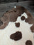 A plush cream and brown highland spotted grade a- sheepskin rug with soft fluffy texture perfect for cozy decor