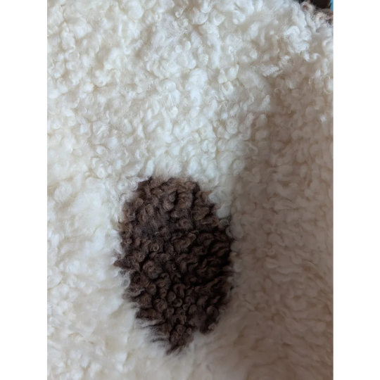 A dark brown textured patch on a grade a- highland spotted sheepskin contrasts with the white fluffy fabric