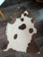 A plush grade a- highland spotted sheepskin rug with natural white and brown cow-print pattern