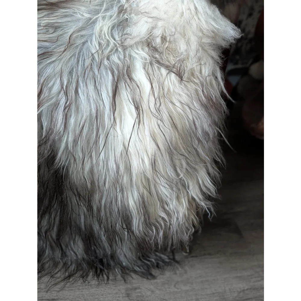 #80❤️❤️59" x 37" Massive Natural Grey Icelandic Sheepskin