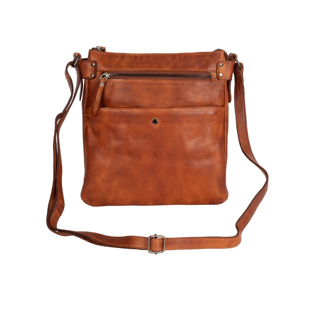 Robbie leather crossbody bag in brown with zip top and strap