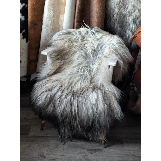 #85❤️❤️58" x 35" Massive Natural Grey Icelandic Sheepskin