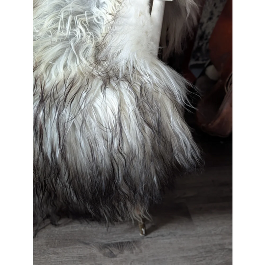 #85❤️❤️58" x 35" Massive Natural Grey Icelandic Sheepskin