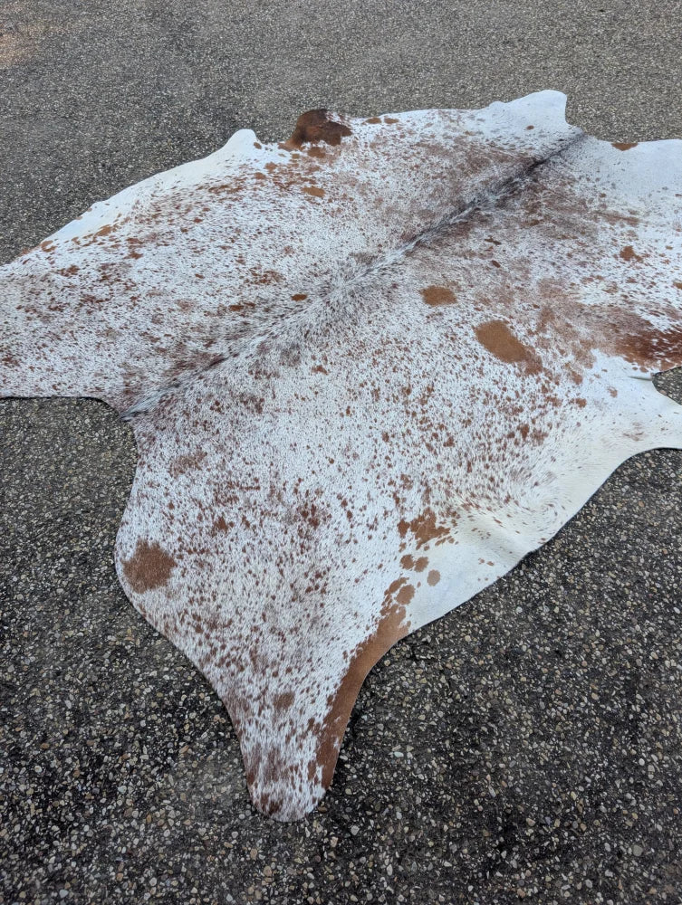 Large 89 by 77 inch saltpepbrn214 cowhide rug with white and brown spotted patterns and rustic charm